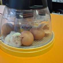 IMG-20250521-WA0001