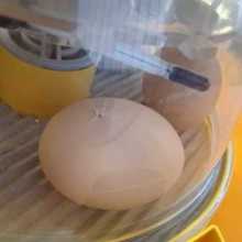 IMG-20250521-WA0003