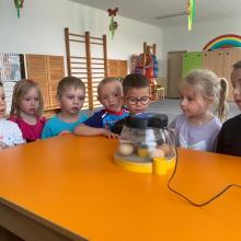 IMG-20250525-WA0020