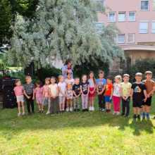 IMG-20250617-WA0037
